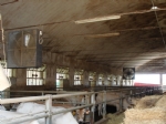  Impianti di gestione climatica Ventilatori PVC anticorrosione Fossano Cuneo Piemonte