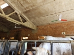  Impianti di gestione climatica Ventilazione - MINI PALE Fossano Cuneo Piemonte